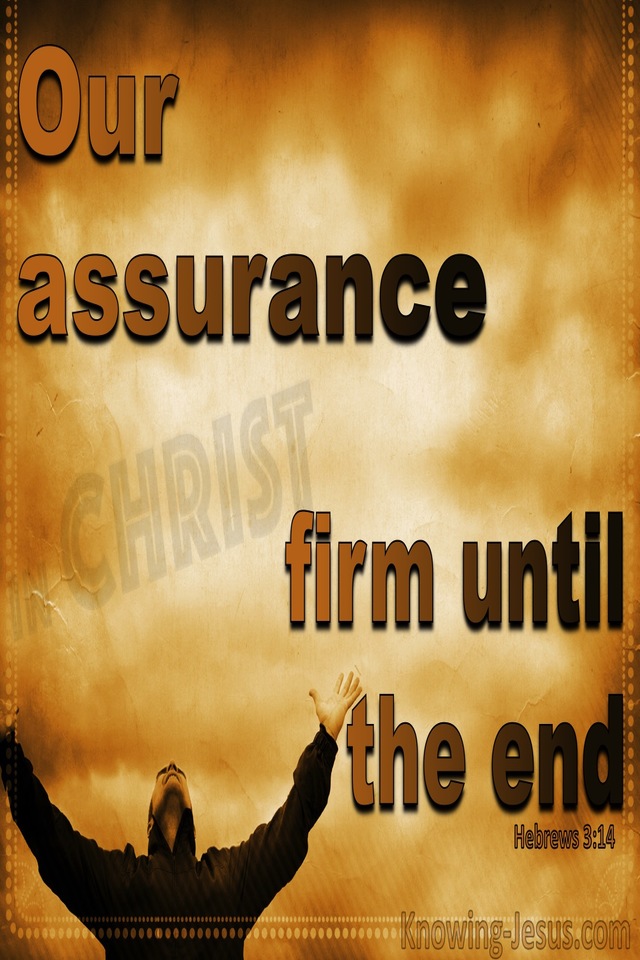 Hebrews 3:14 Our Assurance Firm To The End (brown)
